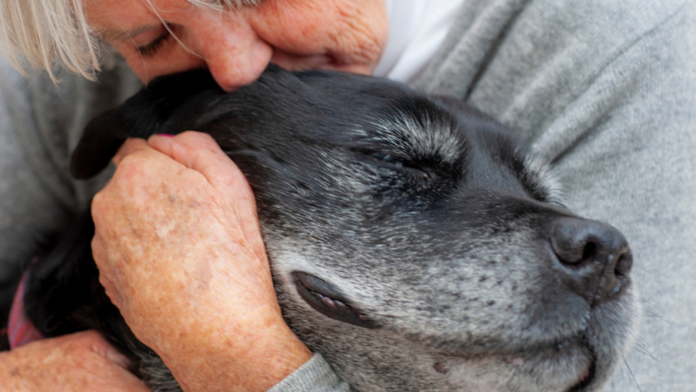 <strong>Interventi Assistiti dagli Animali: origine e storia</strong>