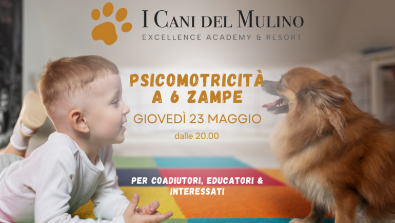 PSICOMOTRICITÀ A 6 ZAMPE / GIOVEDÌ 23 MAGGIO
