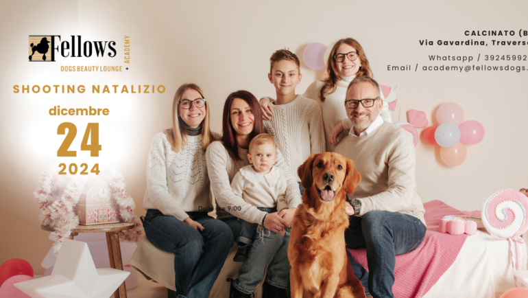 24 DICEMBRE 2024 – SHOOTING NATALIZIO DA FELLOWS DOGS