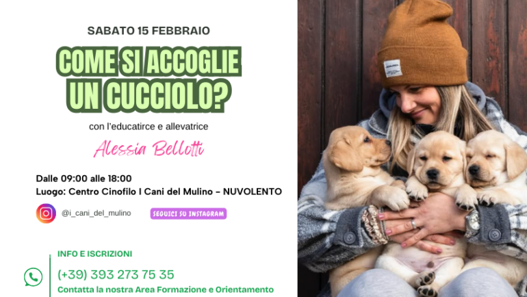 COME SI ACCOGLIE UN CUCCIOLO? GIORNATA FORMATIVA SABATO 15 FEBBRAIO