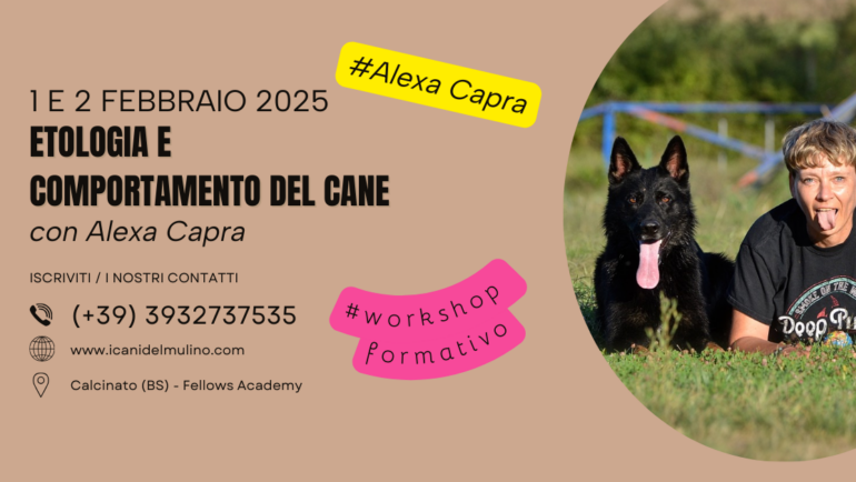 STAGE CON ALEXA CAPRA / LETTURA DEL COMPORTAMENTO DEL CANE – 1 E 2 FEBBRAIO