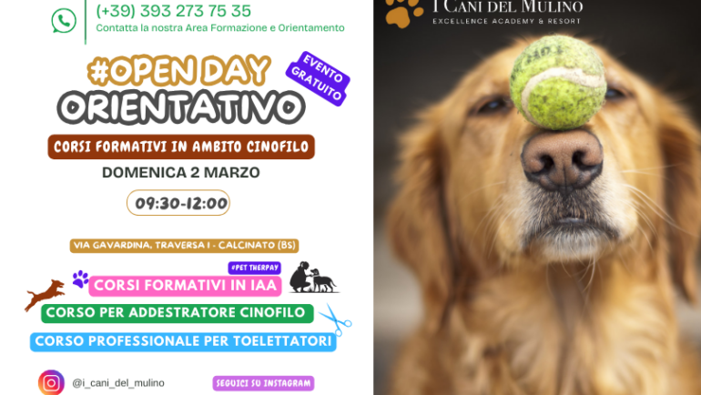 OPEN DAY DOMENICA 2 MARZO 2025 / SCOPRI I NOSTRI CORSI DI FORMAZIONE