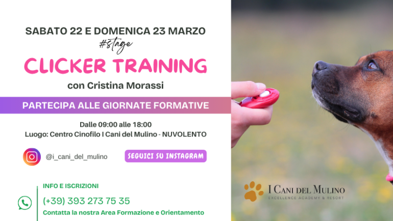 22-23 MARZO WEEKEND ALL’INSEGNA DEL CLICKER TRAINING CON CRISTINA MORASSI