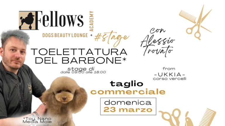 STAGE DI TOELETTATURA DELLA RAZZA BARBONE CON ALESSIO TROVATO – DOMENICA 23 MARZO