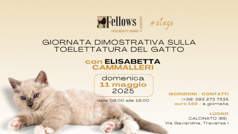 STAGE SULLA TOELETTATURA DEL GATTO CON ELISABETTA CAMMALLERI / 11 MAGGIO