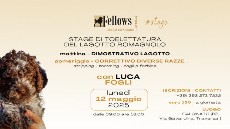STAGE SULLA TOELETTATURA DEL LAGOTTO CON LUCA FOGLI / 12 MAGGIO