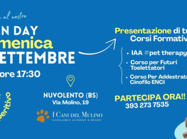 Come lavorare con gli animali? Scoprilo con noi – DOMENICA 7 SETTEMBRE