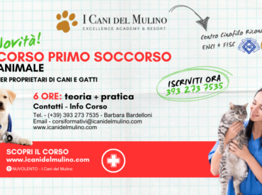 CORSO DI PRIMO SOCCORSO PER PROPRIETARI DI CANI E GATTI