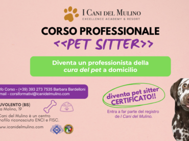 CORSO PET SITTER PROFESSIONALE