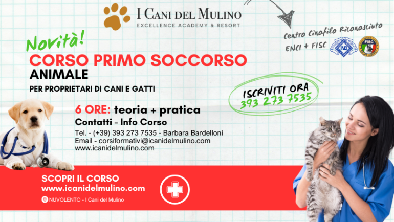 CORSO DI PRIMO SOCCORSO PER PROPRIETARI DI CANI E GATTI