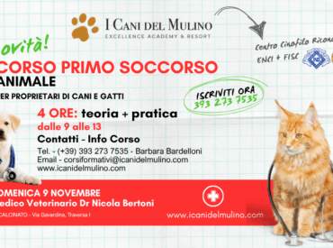 CORSO PRIMO SOCCORSO PER PROPRIETARI DI CANI E DI GATTI