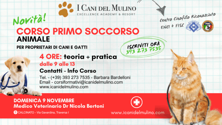 CORSO PRIMO SOCCORSO PER PROPRIETARI DI CANI E DI GATTI
