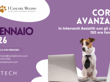 Corso Avanzato in Interventi Assistiti con gli Animali (IAA)
