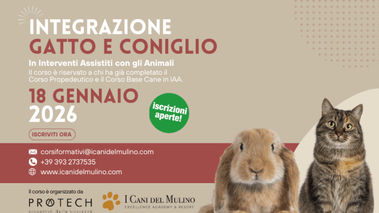 Integrazione Gatto e Coniglio 18 Gennaio