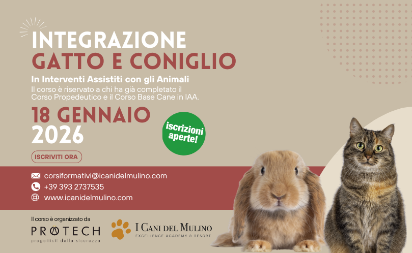 Integrazione Gatto e Coniglio 18 Gennaio