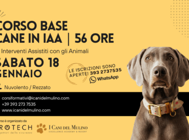 Corso Base Cane in IAA – Sabato 18 Aprile 2026