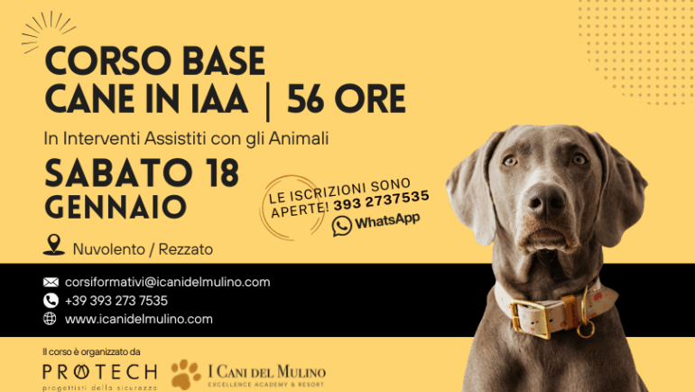 Corso Base Cane in IAA – Sabato 18 Aprile 2026