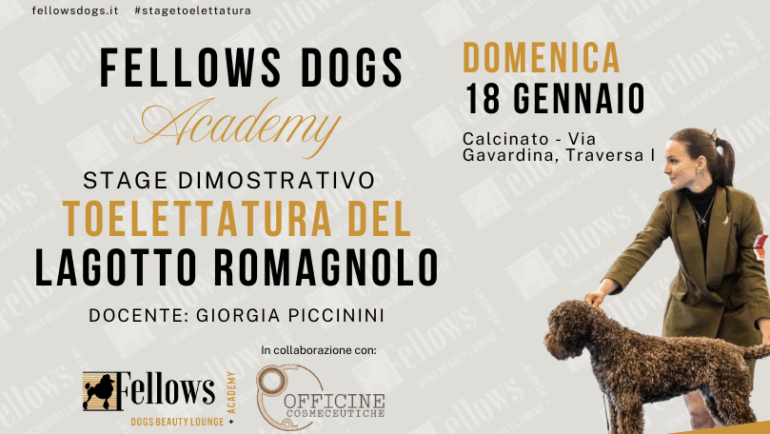 Stage Toelettatura 18 gennaio – Giorgia Piccinini