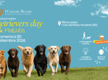 RETRIEVERS DAY & FRIENDS