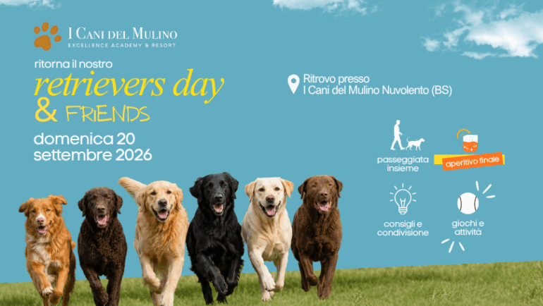 RETRIEVERS DAY & FRIENDS