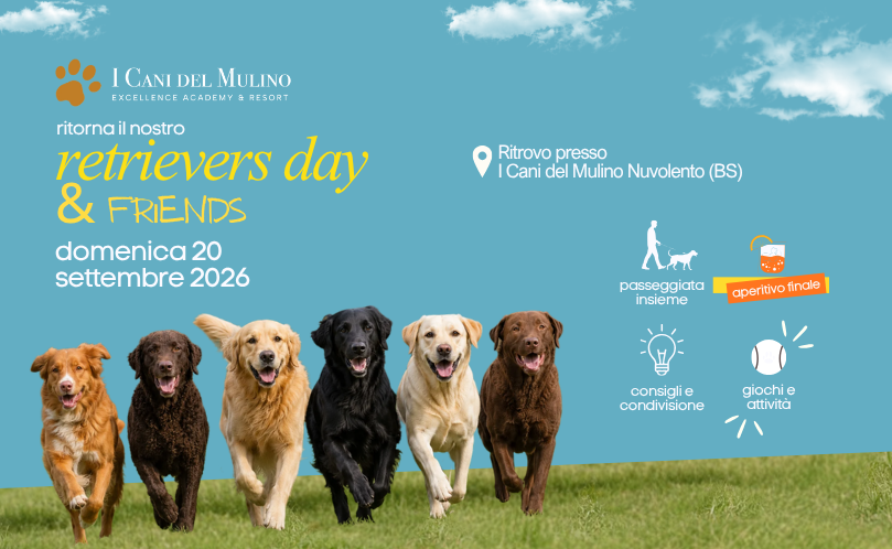 RETRIEVERS DAY & FRIENDS