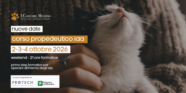 Corso Propedeutico IAA – 2/3/4 OTTOBRE